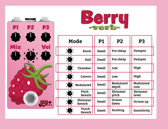 Berry-Verb instruction booklet
